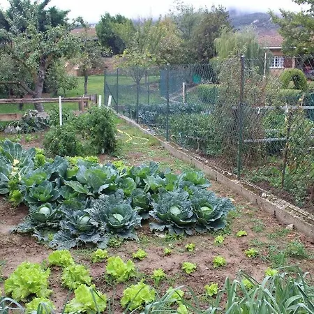 Sagastienea Con Piscina Y Tenis En La Rioja *