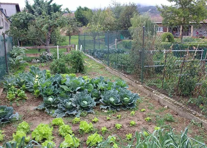 Sagastienea Con Piscina Y Tenis En La Rioja *